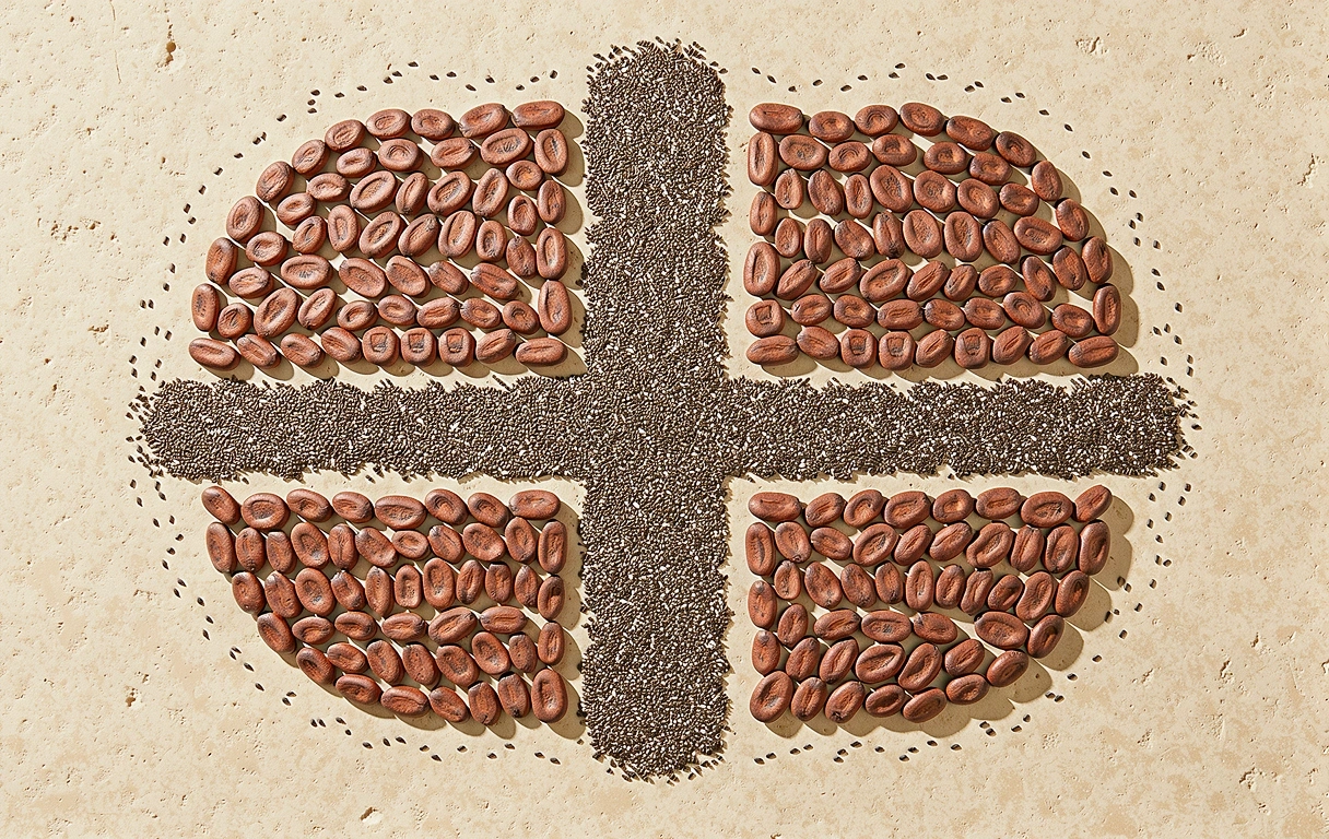 Elementos botánicos naturales